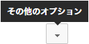 その他のオプション